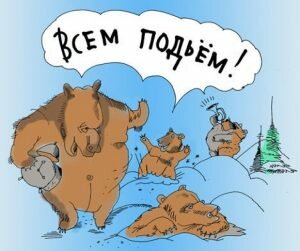 Прикольная открытка с днём пробуждения медведей качать бесплатно