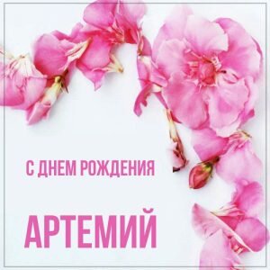 Картинка с днем рождения, Артемий