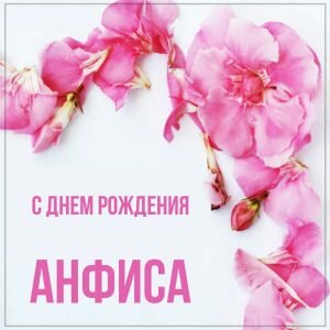 Картинка с днем рождения, Анфиса