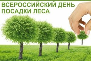 Красивая открытка на всероссийский день посадки леса