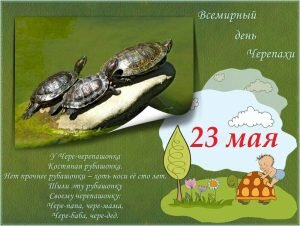 Красивая открытка со всемирным днем черепахи