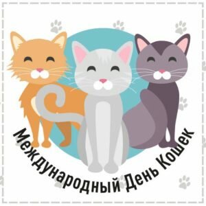 Картинка международный день кошек