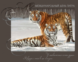 Красивая открытка на день тигра