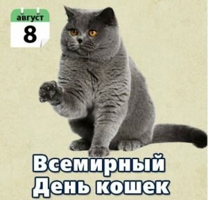 Открытка всемирный день кошек