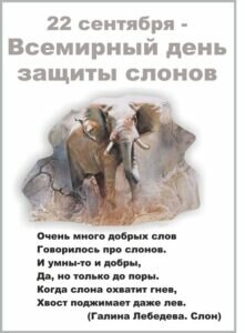 открытка на всемирный день защиты слонов
