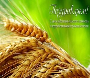 Красивая поздравительная открытка на день работников сельского хозяйства