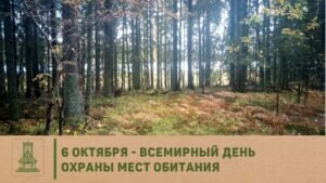 Яркая открытка всемирный день охраны мест обитания